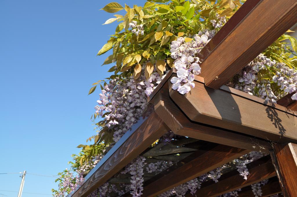ורונה Residence Casa Wilma מראה חיצוני תמונה